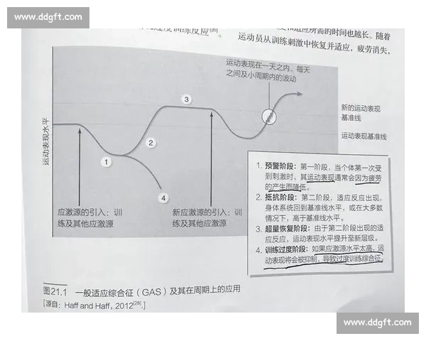 科学运动促进身心健康与体能提升的高效全面生活方式实践规划指南 科学运动促进身心健康与体能提升的高效全面生活方式实践规划指南
